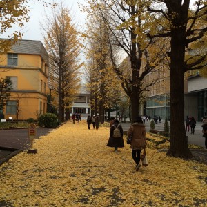 「やりたいことが分からない」という学生に対して