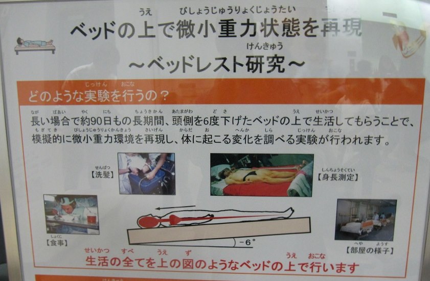 「やってみれば分かる」。そうなのだが、1つだけ条件がある
